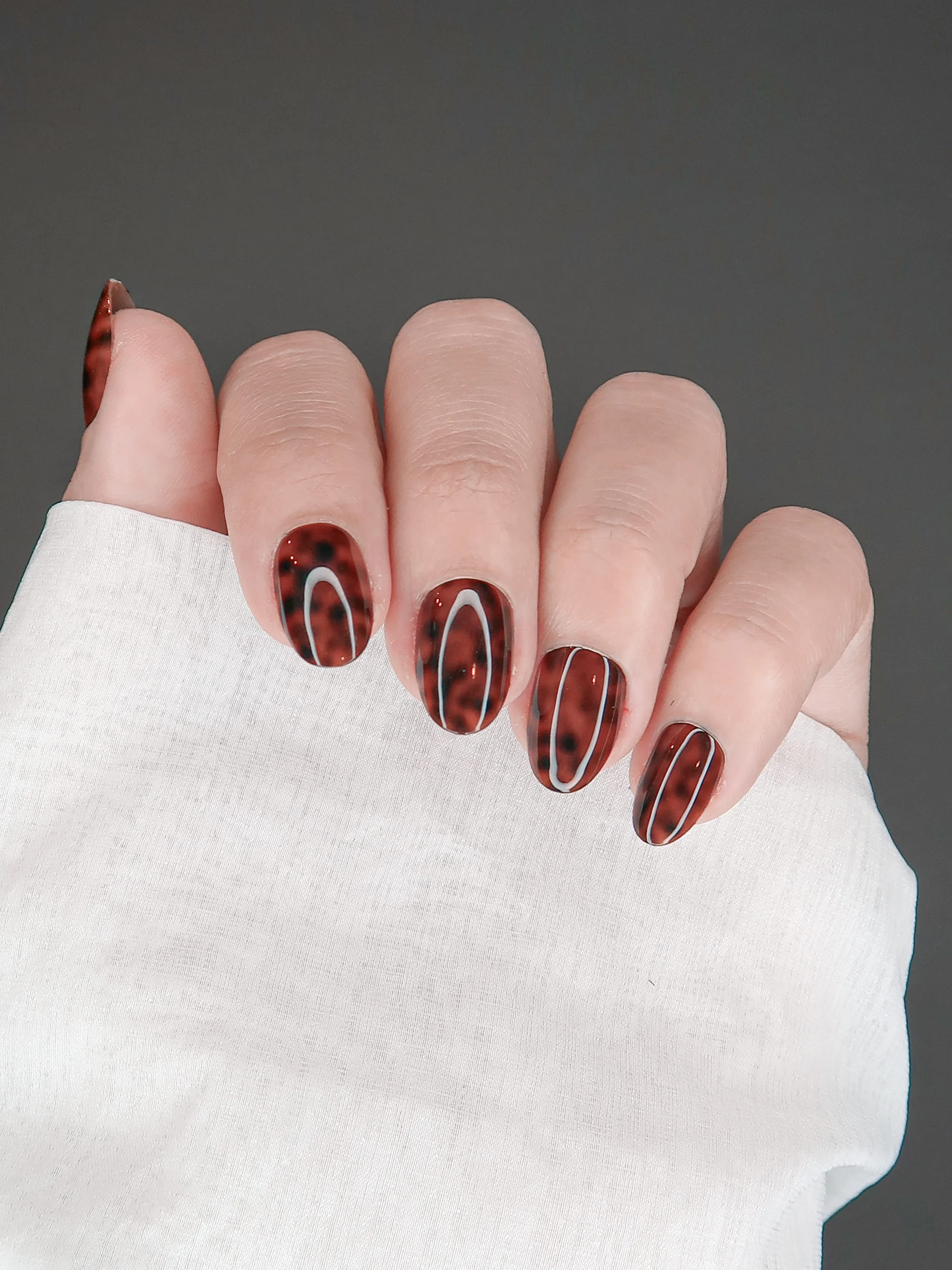Tortoise shell - Image 2